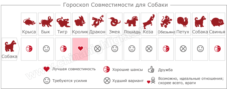 Любовная Совместимость с собакой