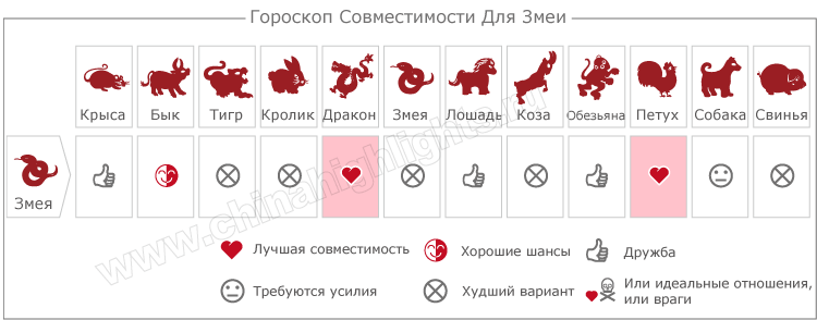 Год Змеи Совместимость в любви