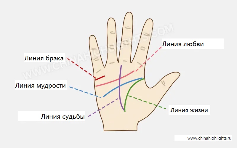 Хиромантия, Линии на Руке Значение