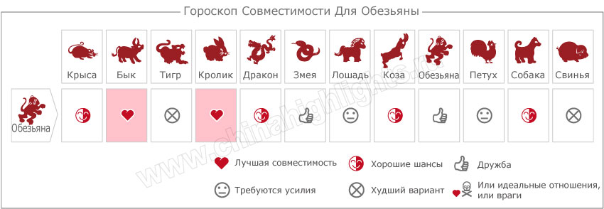 Год Обезьяны Совместимость в любви