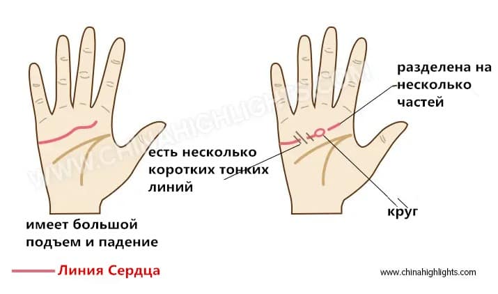 линия любви