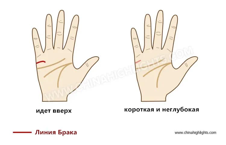 линия брака